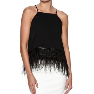 WORN ONCE Endless Rose Top